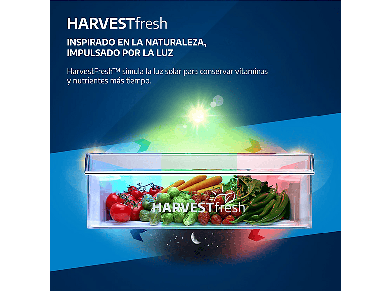 Frigorífico combi - Beko B7RCNE408HXBR, NeoFrost Dual Cooling, 203.5 cm, 355 l, AeroFlow, Tecnología Harvest Fresh, Gris — foto 9