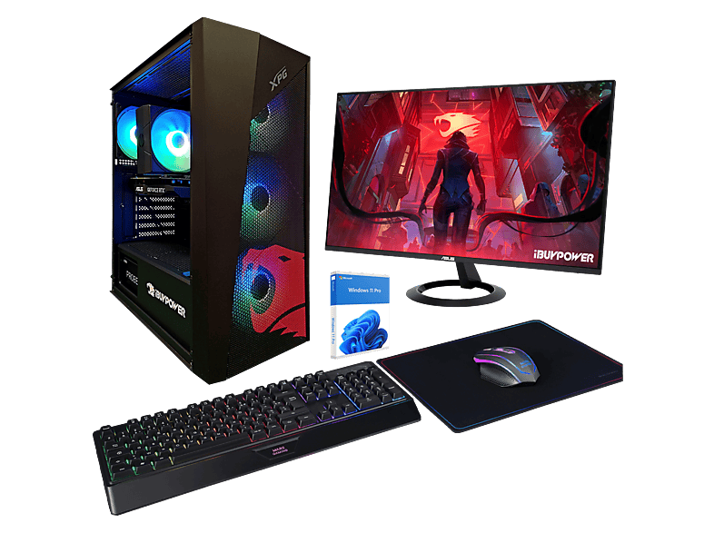 Pack PC Gaming - IBUYPOWER Fighter Warcry X Lite, AMD Ryzen 5 5500, 16 GB RAM, 1 TB SSD, GeForce RTX™ 5060, Windows 11 Pro, Monitor 24 " Full-HD, Negro